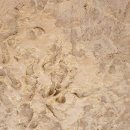 뚝섬한강공원-48 이미지