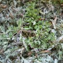 논두렁밭두렁 이미지