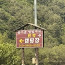 [홍천 을수골별빛계곡 캠핑장]명당 19번 사이트 찐 후기 (24.06.21-06.23)🏕️ 계곡캠핑장