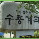 수룡폭포길 Daum카페
