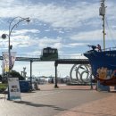 고래생태체험관 화장실 이미지