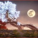 싸울아비 이미지