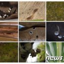 농림축산검역본부(식물검역기술개발센터) 이미지