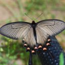 목인농장 이미지