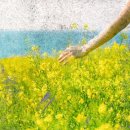 (주)대신환경 이미지