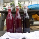 두봉농장 이미지