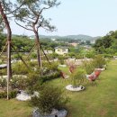 정원한우생각 이미지