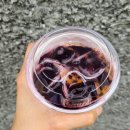 행궁동 루프탑 카페 추천 크럼블 디저트 맛집 매트그린