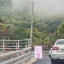 청룡사 | 경남 겹벚꽃 명소로 유명한 사천 청룡사 다녀 온 후기(청룡사 주차, 포토존, 방문시간, 이용팁 등 26...