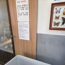[아이랑 함께] 천안 곤충나라 펫월드