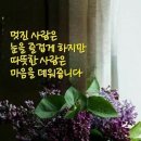 눈앞에 바다 이미지