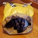 마르셀 하우스 이미지