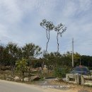 실로암 힐링홈 이미지