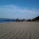 백일홍동산 이미지