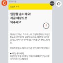 그린파치 이미지