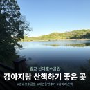 신대가 | 광교 신대호수 공원 강아지랑 산책하기 좋은 곳｜애견동반 후기