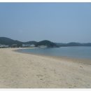 연포해수욕장(송림) 티스토리