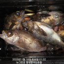 뉴그린 이미지