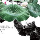 헤어모리샵