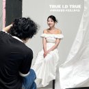 한태지 | 을지로 프로필 웨딩 사진관 트루아이디트루 세미웨딩촬영 후기 첫번째