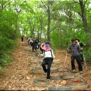 분수3리 이미지