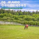3천원으로 즐기는 제주도 가족여행 추천 제주 목장 트랙터마차 후기