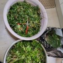 (주)일민 이미지