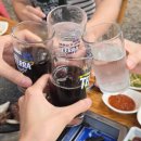 진아축산 | 마장동 한우 맛집 한우선물세트 가격 한우마을 정육식당