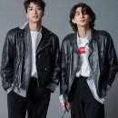 잔나비 이미지