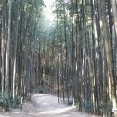 팬더 민박 이미지