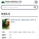 강북청소년문화정보도서관 이미지
