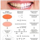 대학동-48 이미지