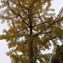 송내초등학교 이미지