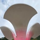 덕치리 초가 | 강원도 여행 홍천 당일치기 가볼만한곳 알파카월드 무궁화수목원 수타사까지