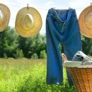 승진세탁 이미지