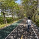 자전거 생태공원: 건강하고 즐거운 여행 이미지