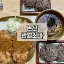 해월로 | 논산 돈까스 맛집 반월소바 양 보고 놀란 메밀소바 후기