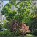 뉴현대세탁소 이미지