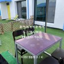 도그앤스테이 이미지