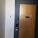 도담동늘봄초등학교 이미지