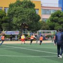 영천초등학교 이미지