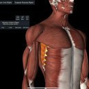 신원동-5 이미지