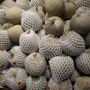 중원-129 이미지