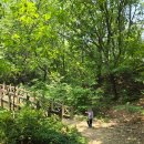 옥성자연휴양림 | 무료로 즐기는 숲놀이터 옥성자연휴양림 네트모험 후기