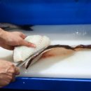 믿음명가 이미지