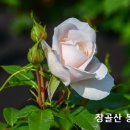 BC는 ‘Before Christ’, AD는 ‘Anno Domini’ 이미지