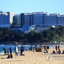 속초 김약국 이미지