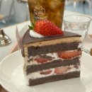 썸머스테어 | 고양이덕후 심금울리는 이수역 디저트 맛집 카페 썸머스테어 내돈내산 후기