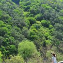 단양공설정구장 이미지