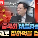 중국이 테슬라를 통째로 잡아먹을 겁니다 (서병수 애널리스트) 이미지